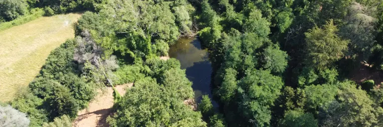 Aerial view of woods, meadows and a wetland on the Panna Estate