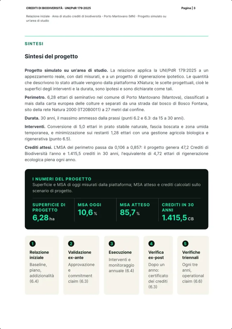 The project summary: perimeter, duration, actions and expected credits, the box with surface, today's MSA, expected MSA and credits over 30 years, and the five phases from the initial report to the three-yearly verifications.