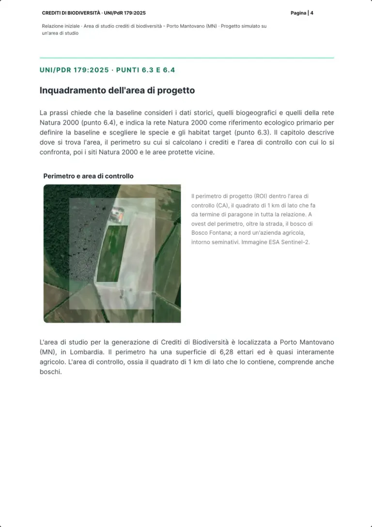 The setting page: the satellite image with the project perimeter inside the control area and the caption on the Bosco Fontana woodland to the west.