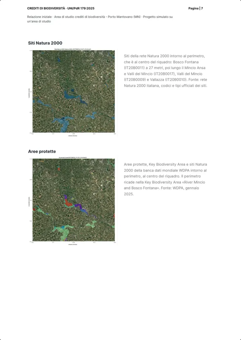 Two satellite maps of the land around the perimeter: the Natura 2000 sites in blue along the Mincio and the WDPA protected areas in colour, each with its caption.