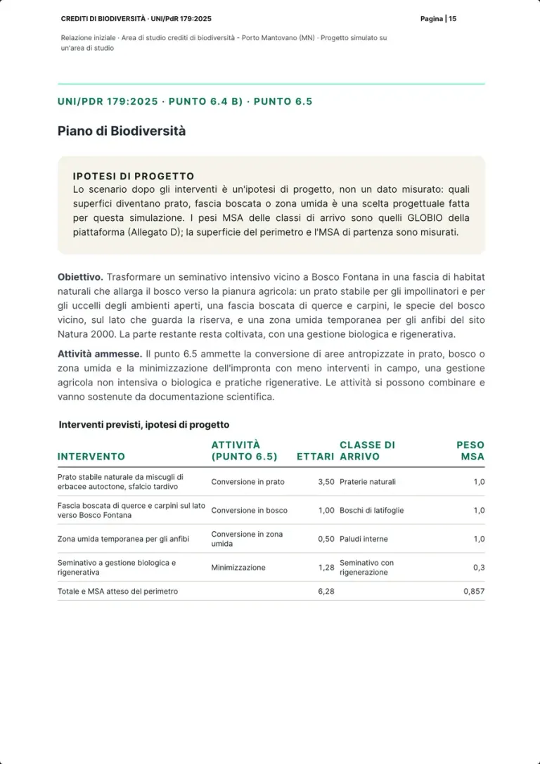 The Biodiversity Plan page: the box on the project assumption, the objective, the admissible activities and the table of actions with hectares, target class and MSA weight.