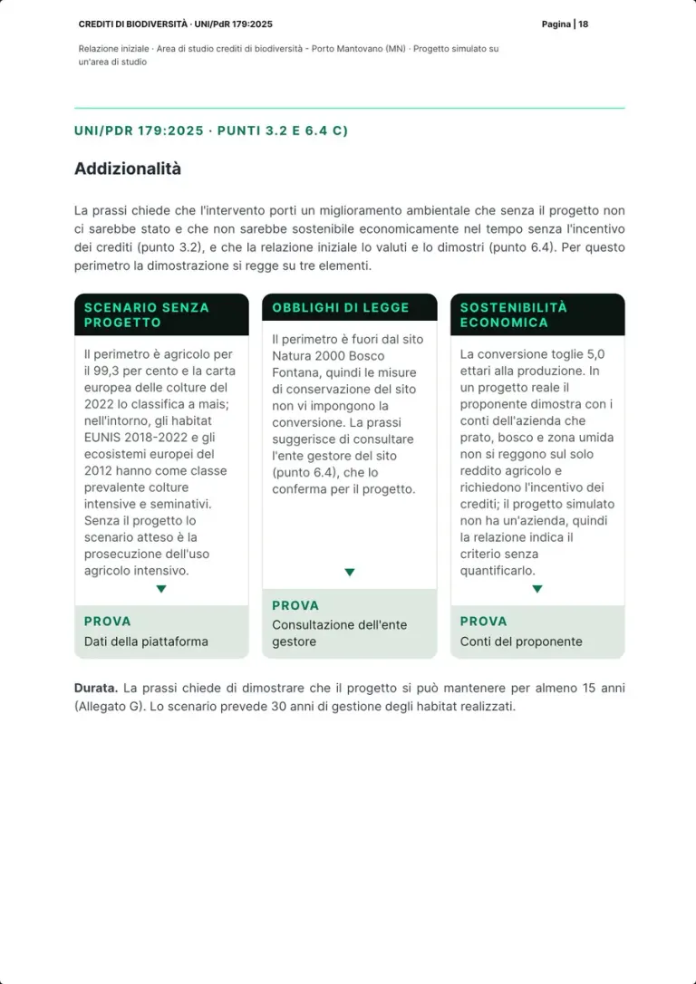 The additionality page: the text and three boxes, scenario without the project, legal obligations and economic sustainability, each with the proof behind it, and the duration.