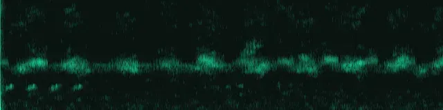 Spektrogramm der Aufnahme von Nachtigall