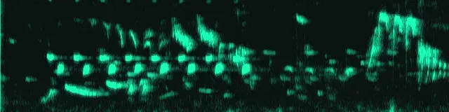 Spektrogramm der Aufnahme von Kohlmeise