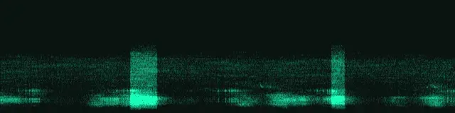 Spectrogramme de l'enregistrement de enregistrement ultrasonore du 15 juillet 2026