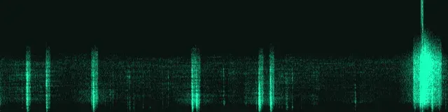 Spectrogramme de l'enregistrement de enregistrement ultrasonore du 10 septembre 2026