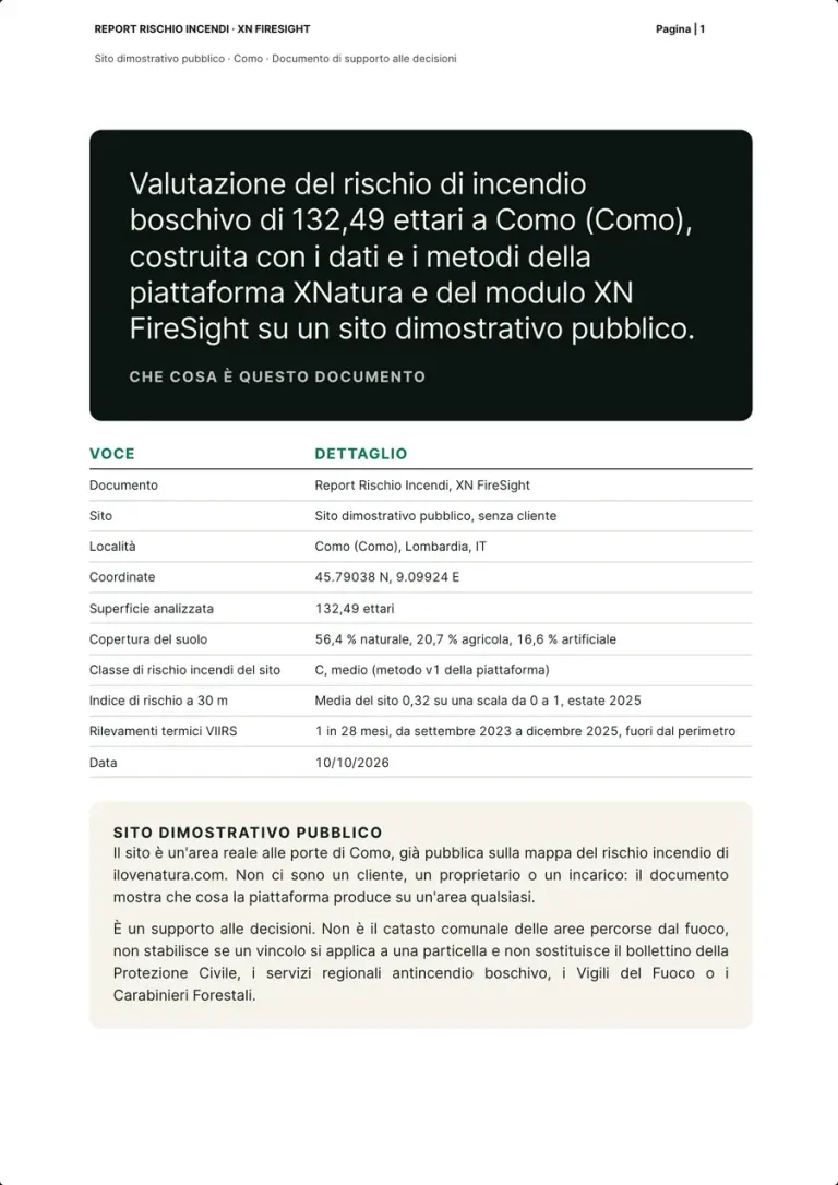 The report's first page: a dark box saying what the document is, the table with document, site, location, coordinates, area, land cover, risk class, 30 m index, detections and date, and the box on the public demo site.