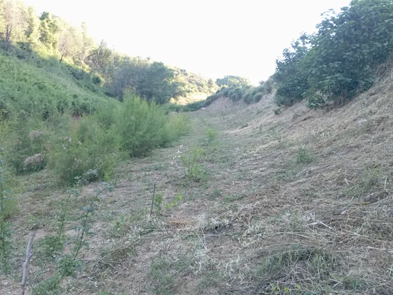 A dry valley with shrubs and parched grass in Calabria