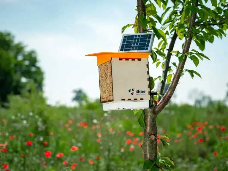 Polly, il rifugio 3Bee per api solitarie con pannello solare, su un albero tra i papaveri