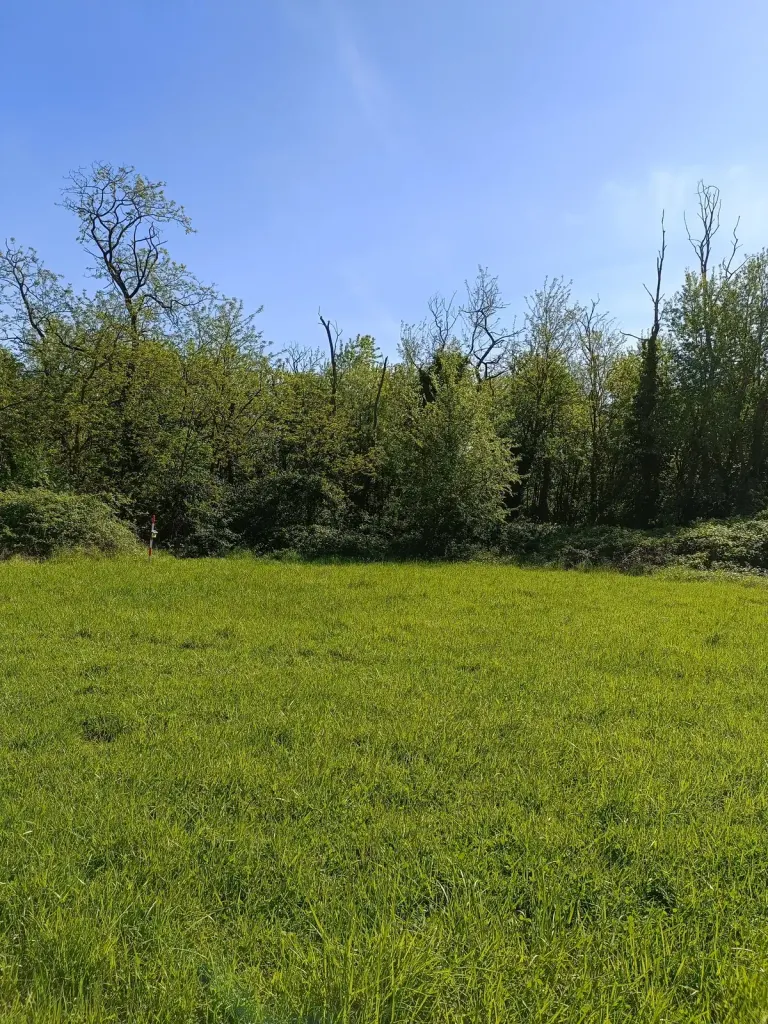Prato e margine del bosco nel Parco delle Groane