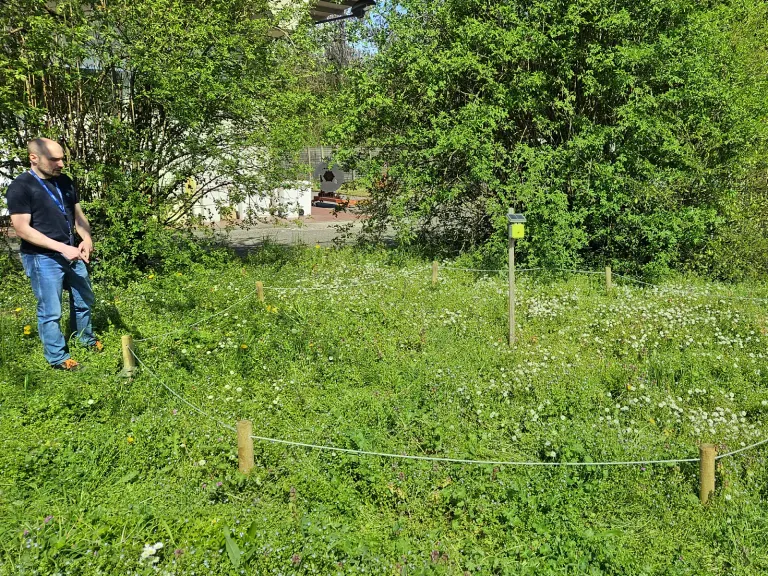 Il prato fiorito dell'area per la biodiversità nel sito di Thales Alenia Space a Gorgonzola, delimitato e monitorato da un sensore Spectrum