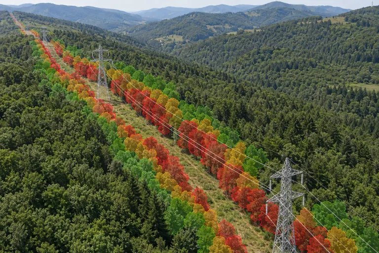 Illustration generated with AI: a high-voltage line crossing a forest, the tree crowns closest to the conductors coloured red, the next ones amber, the farther ones green