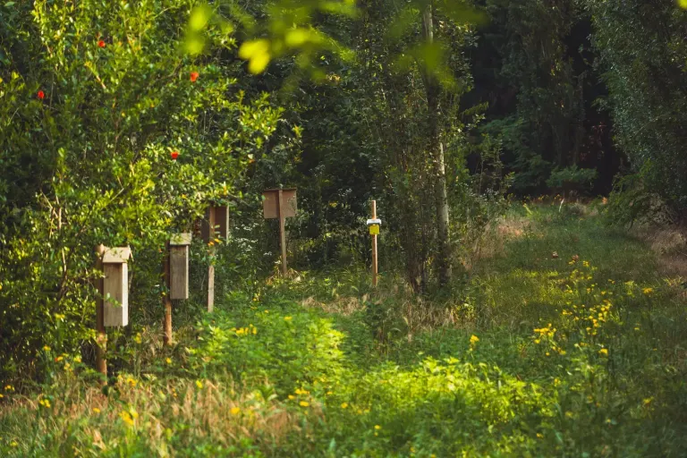 Sentier en sous-bois avec des nichoirs et un capteur, sur le site Edison de Zinasco