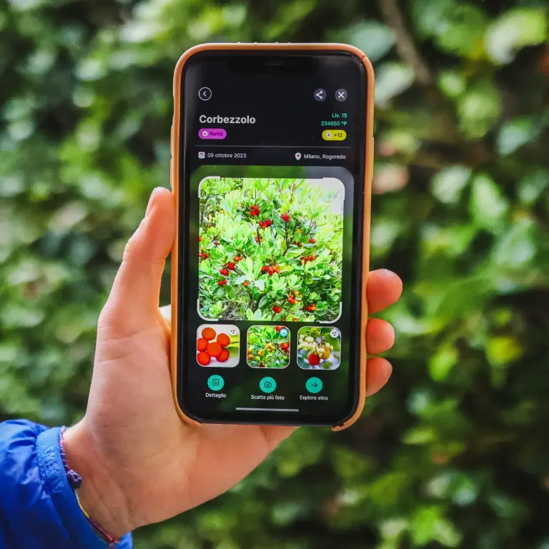 Bildschirme der Biodiversa-App