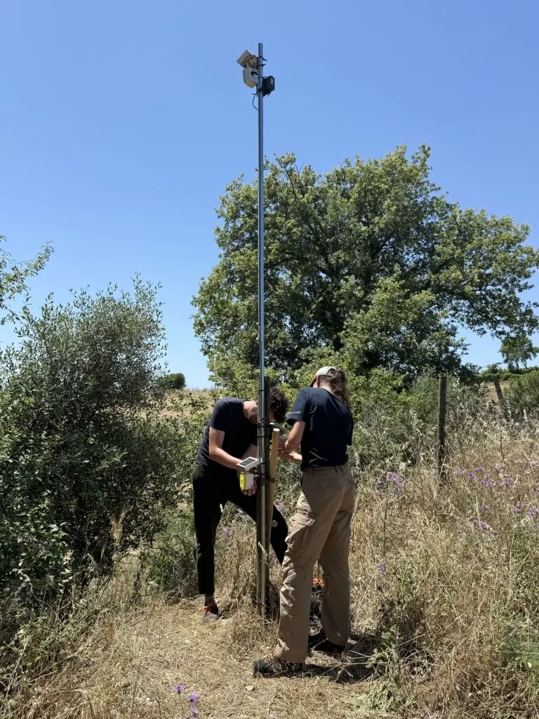 Field test in ambiente semi-naturale