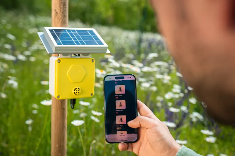 Surveillance en environnement naturel