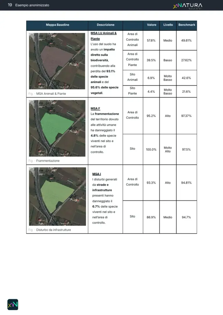 Maps and values of MSA for animals and plants, fragmentation and disturbance from infrastructure, on the site and in the control area, with the benchmark.
